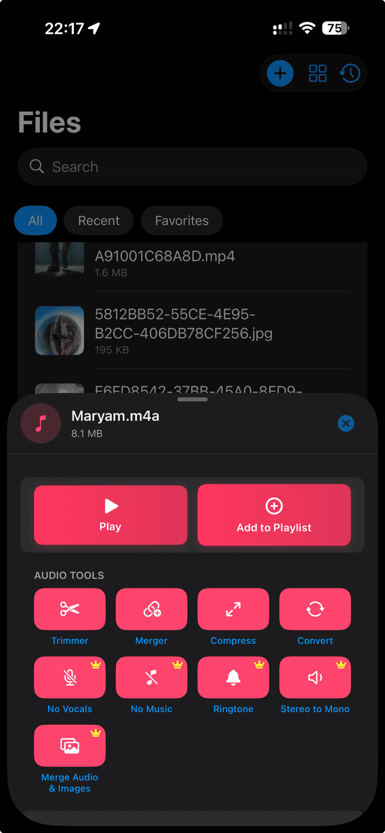Audio Action Dark screenshot